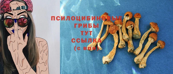 соль курить ск Вяземский