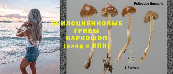 соль курить ск Вяземский